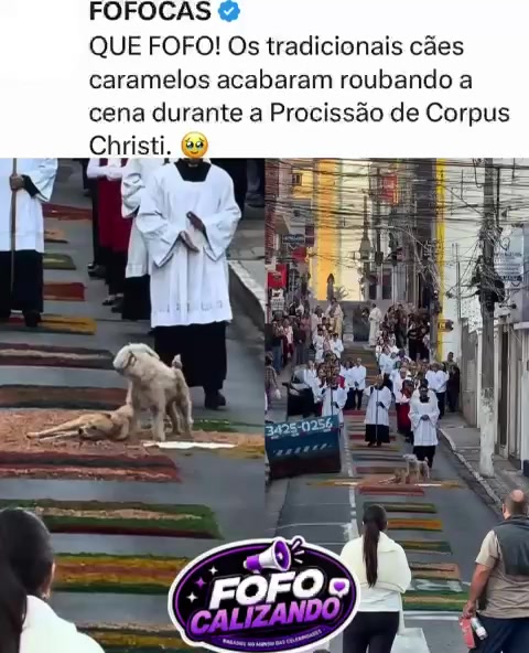 @FOFOCALIZANDO