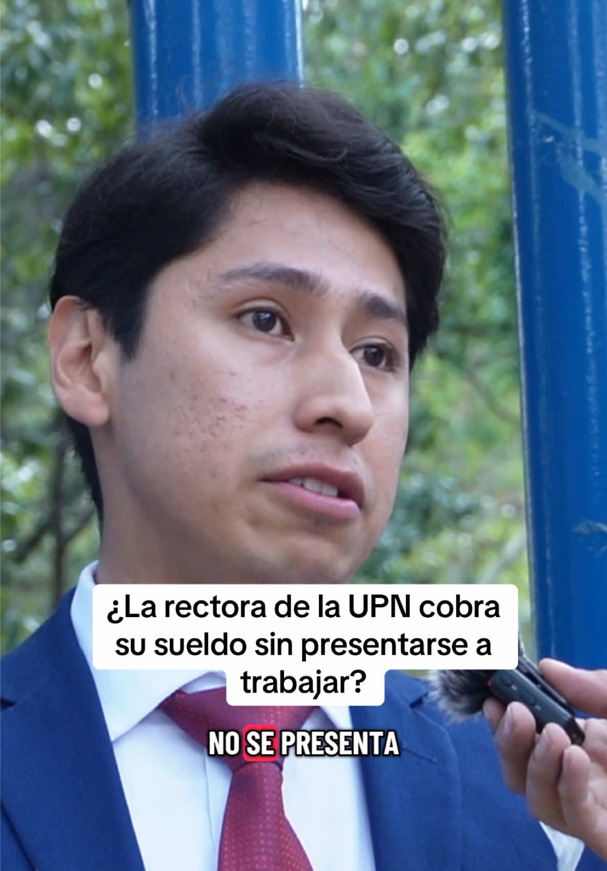 @casamalafamayes