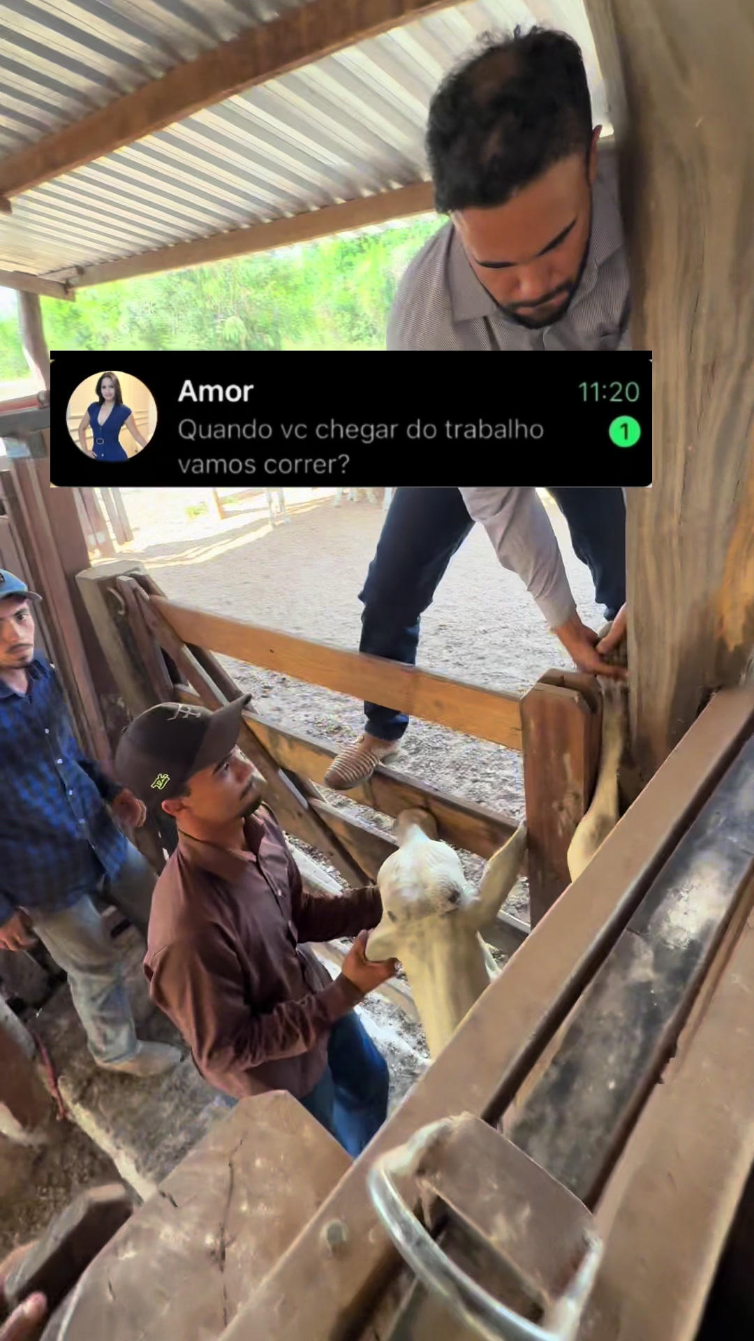 @fgalvao22
