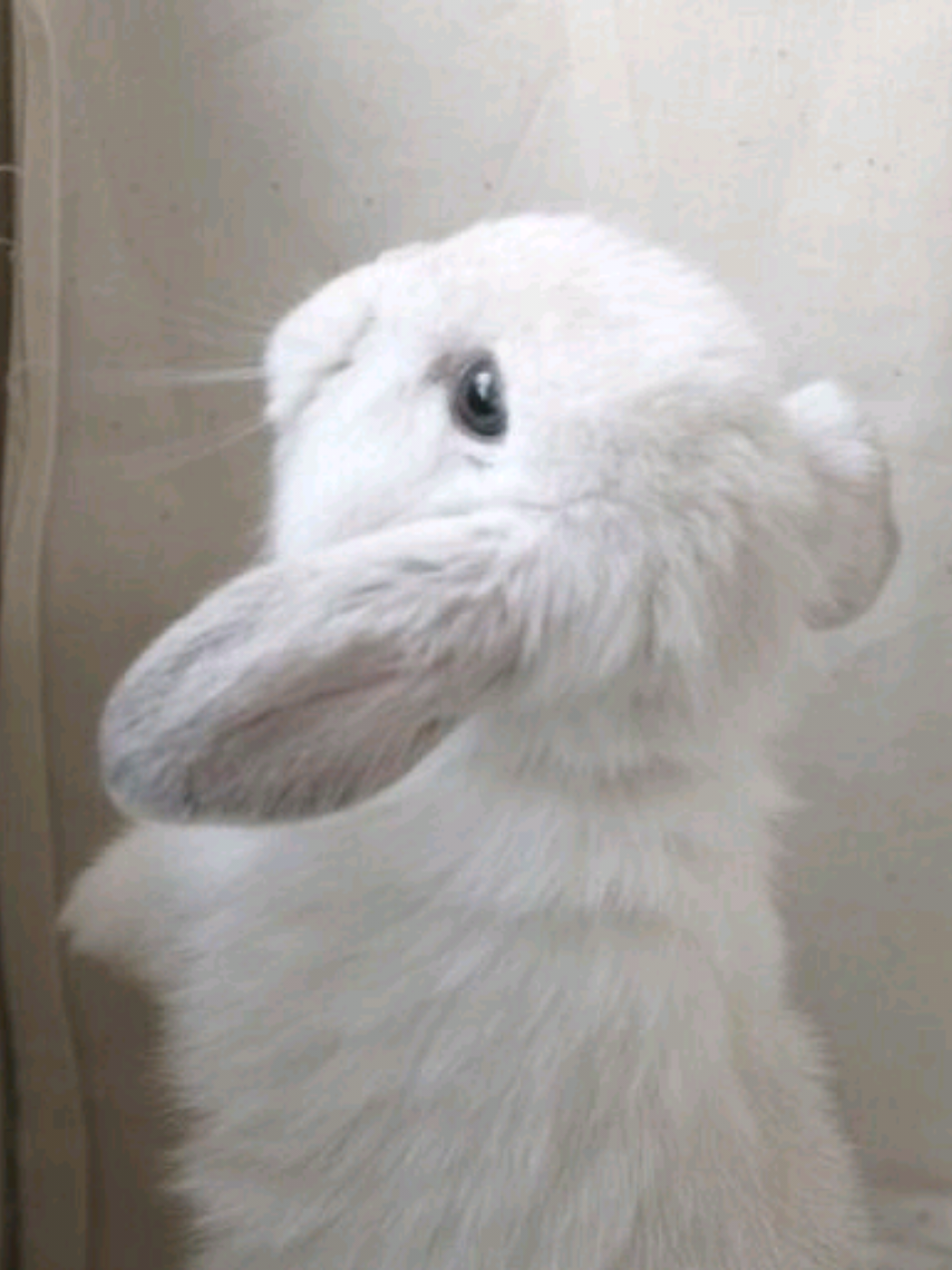 @ 