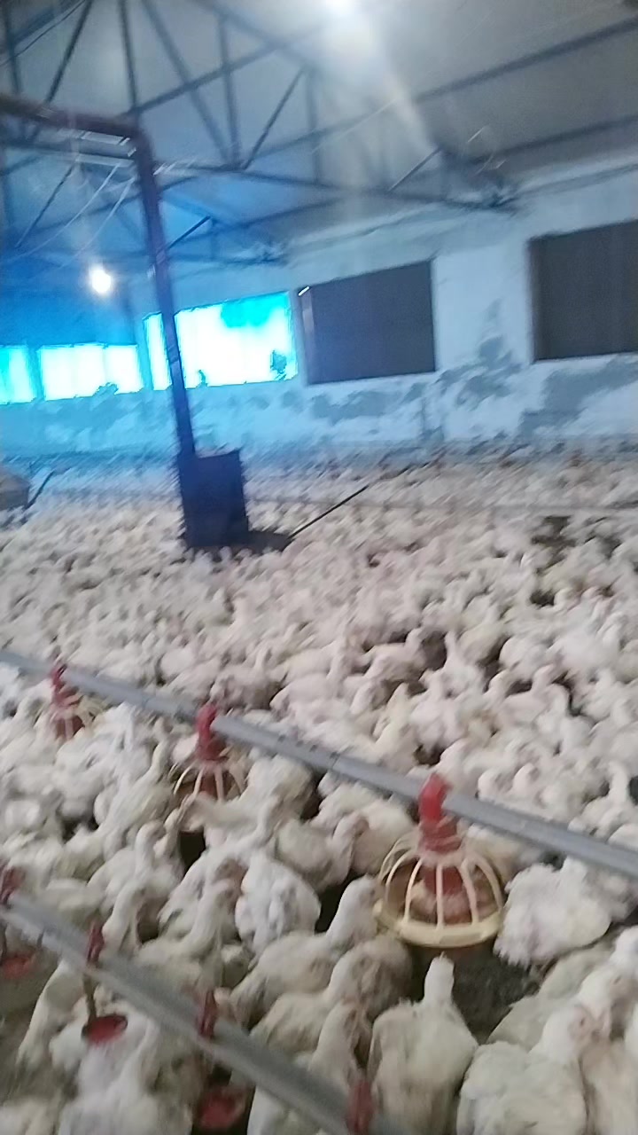 @01.. Adanalı 🥰