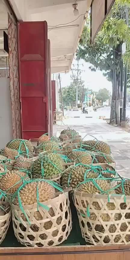 @Kenzhi Durian Tuban