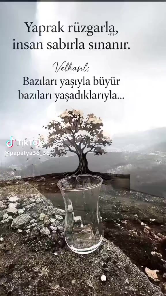 @Kır papatyası 🌼💮🌸🍀🌹