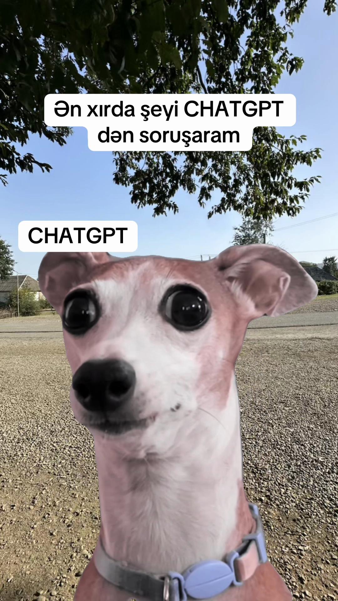 @♈️