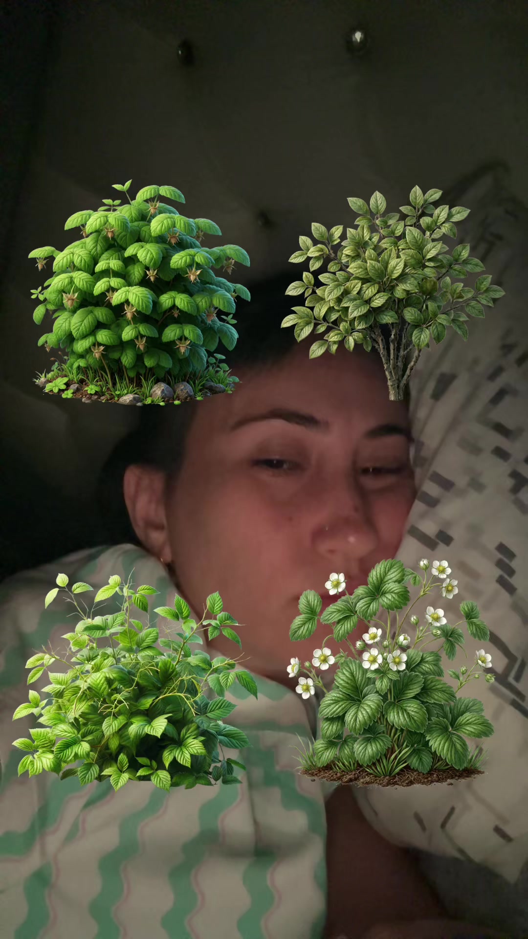 @Japonella