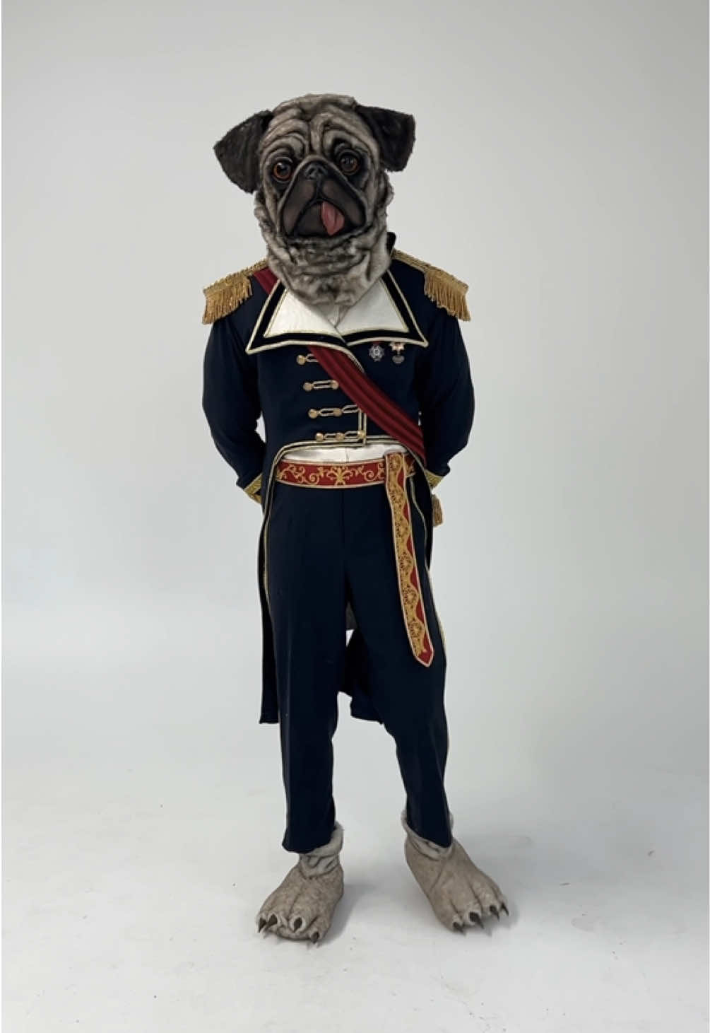 @Chanteurs masqu&eacute;s