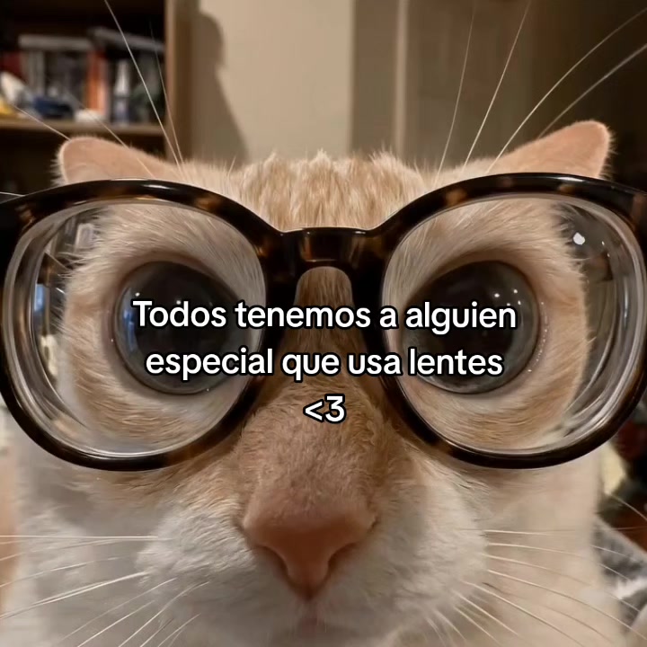 @goodvibessxd