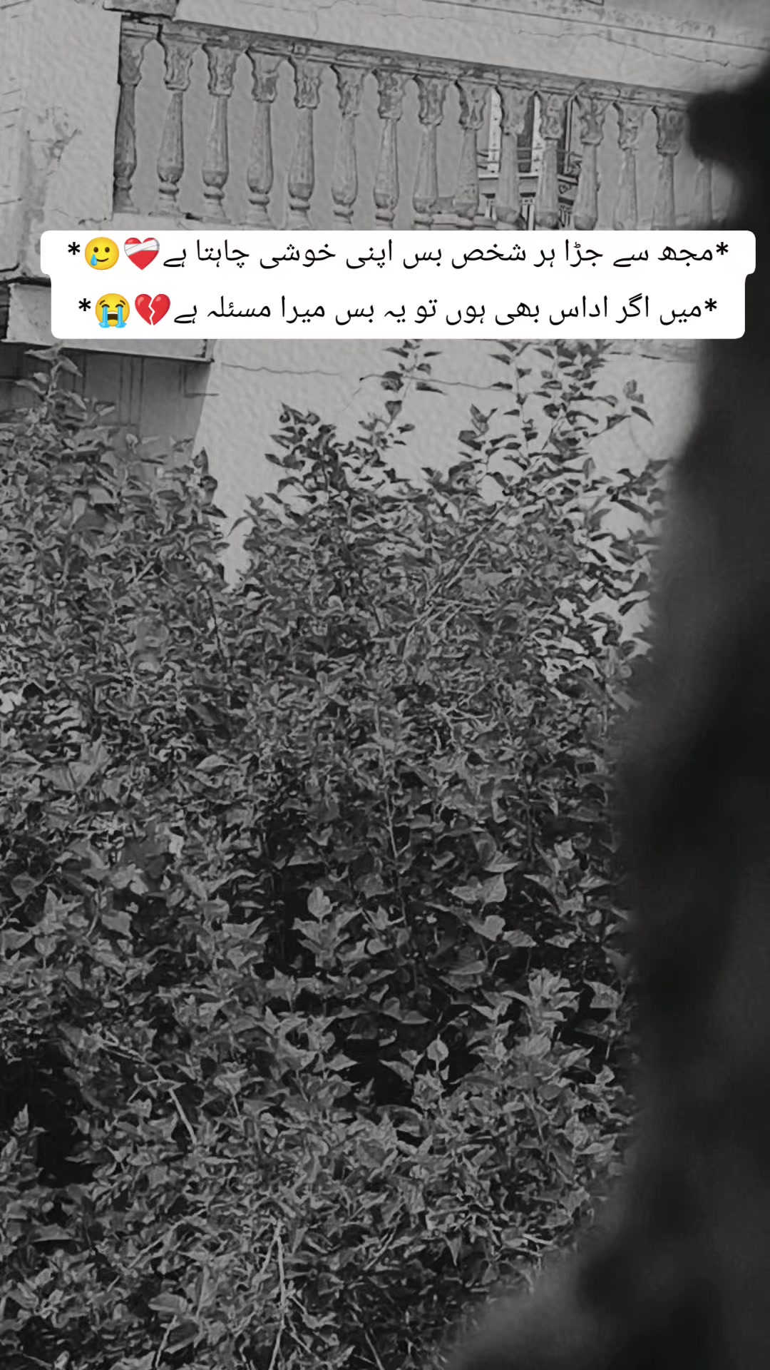 @❤️&zwj;🩹 Alone ❤️&zwj;🩹
