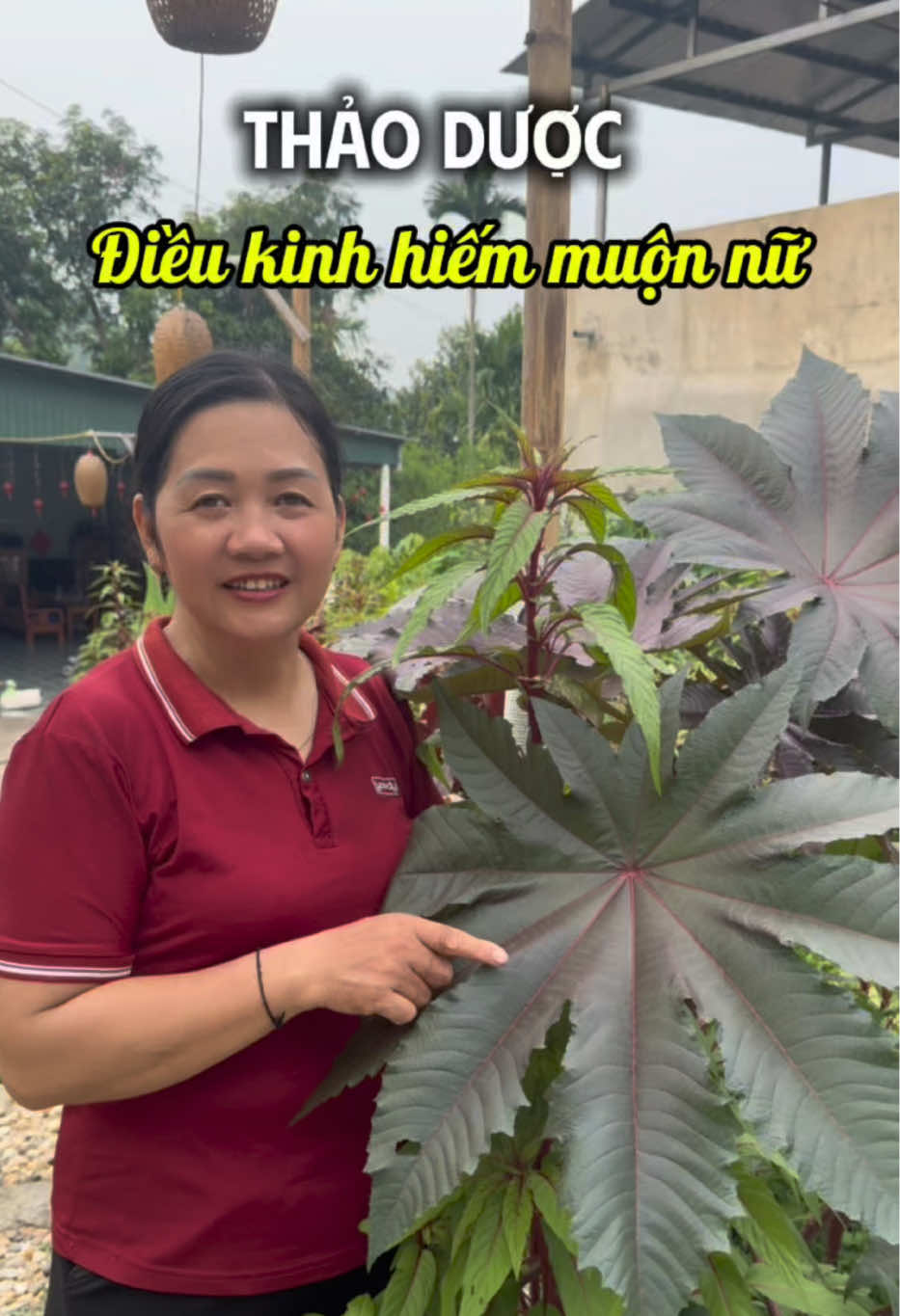 @Cô Sinh Thảo dược Cao Lan