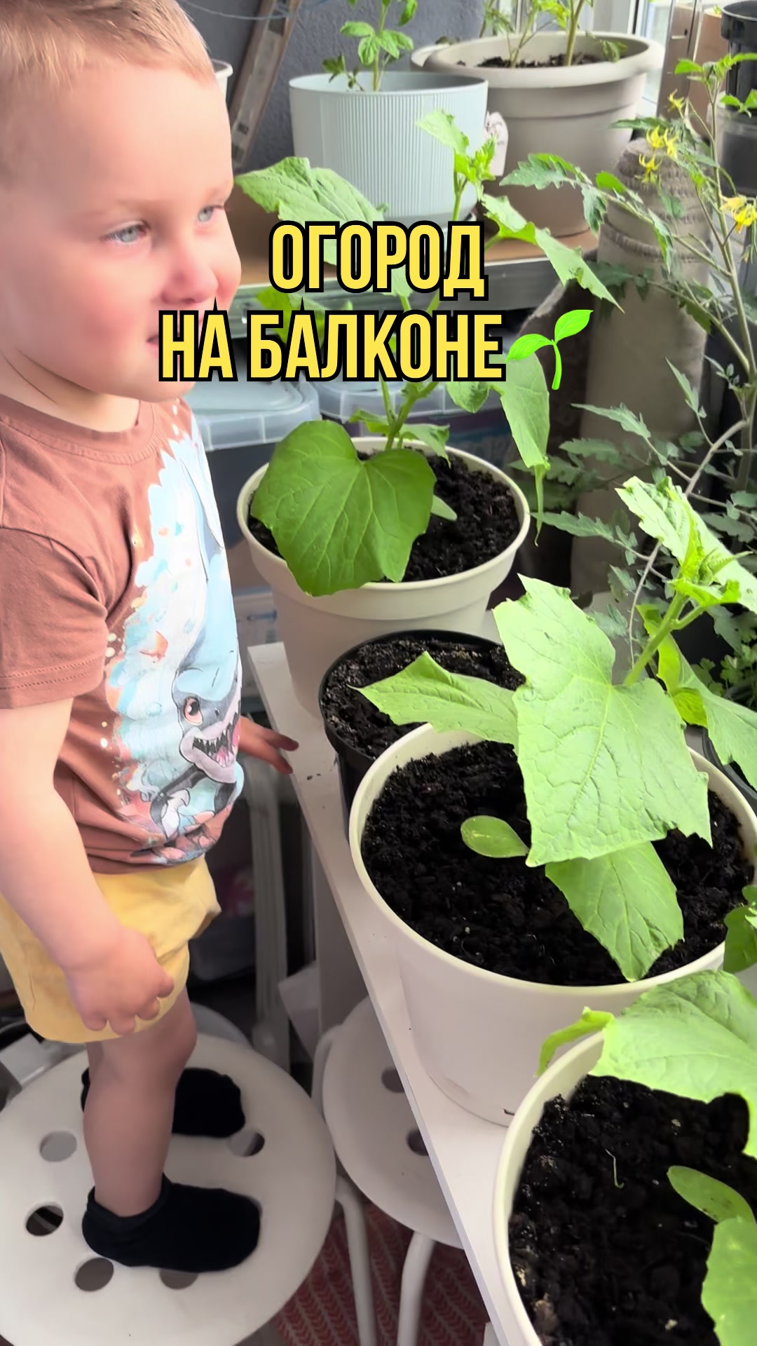 @Вика
