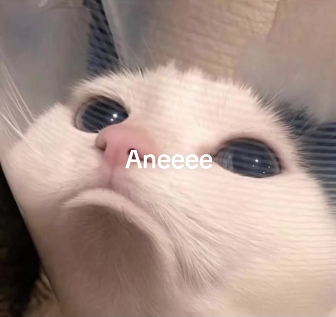 @luke