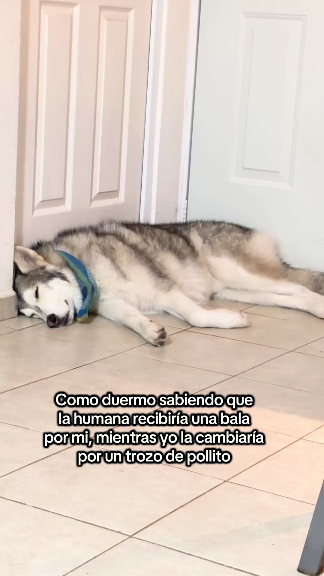 @KZ