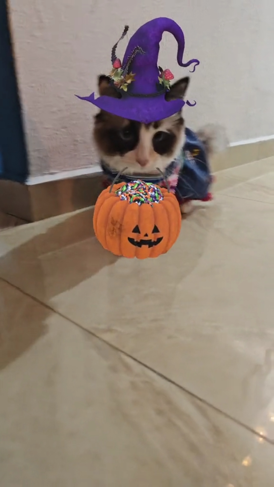 @Kar
