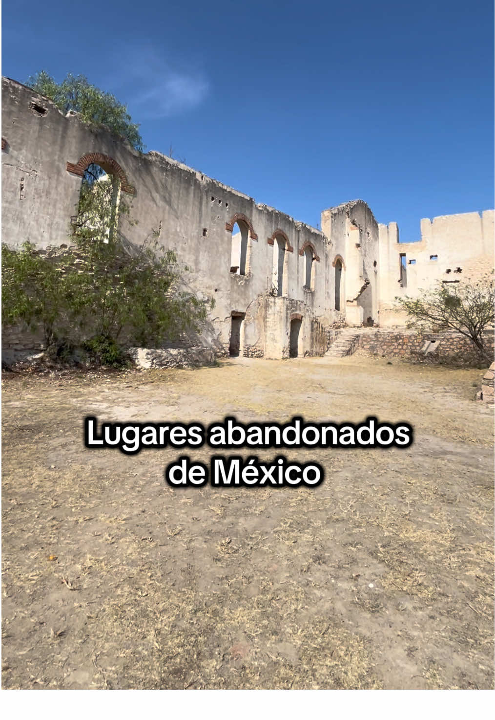 @Alan V&aacute;zquez