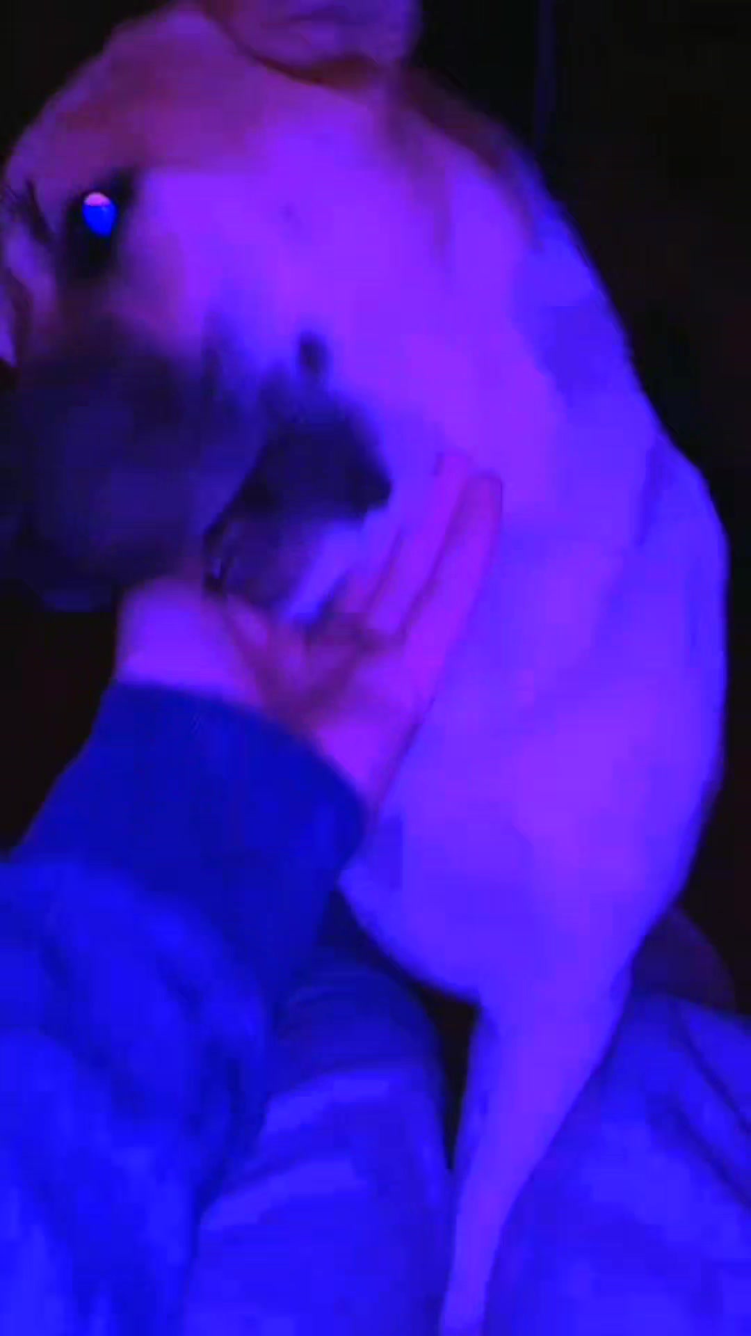 @Любов❤️