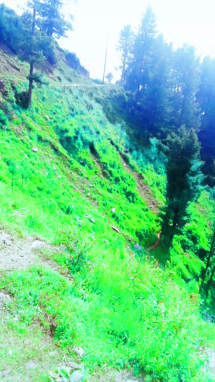 @احسان ارمانی
