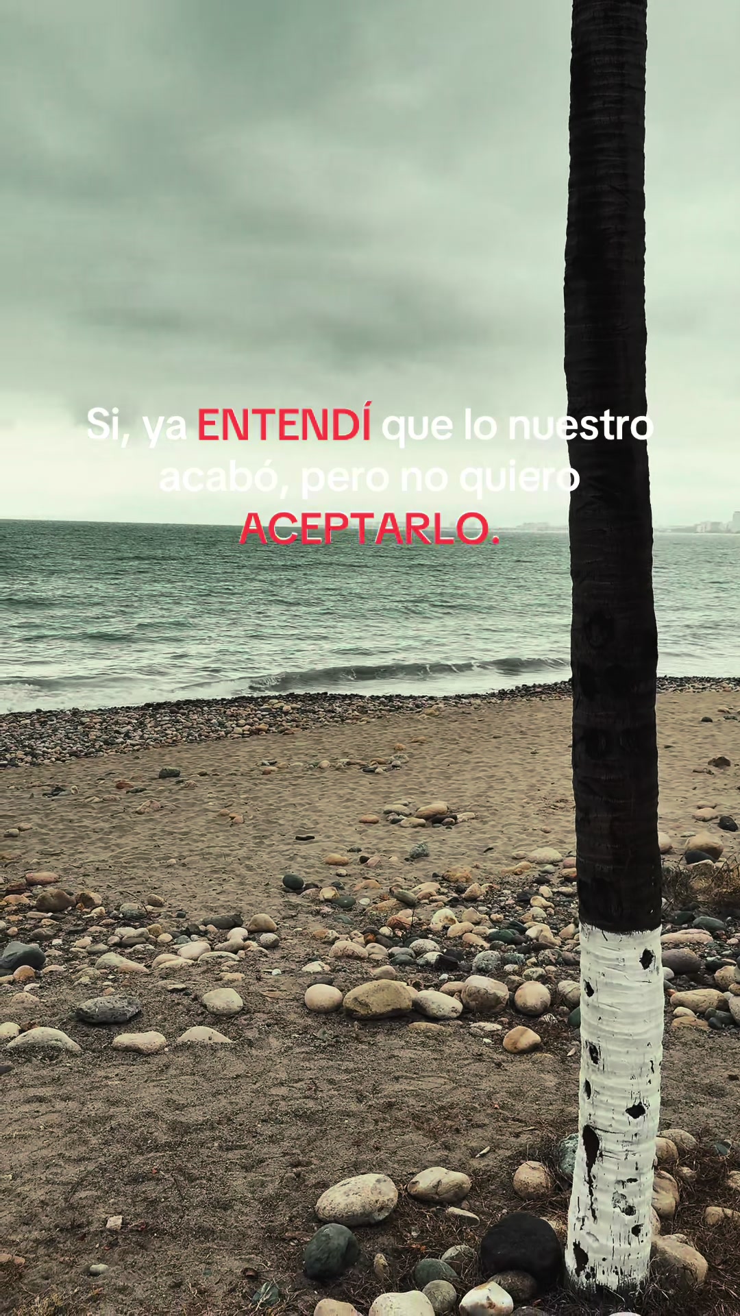 @Extraño a mi ex