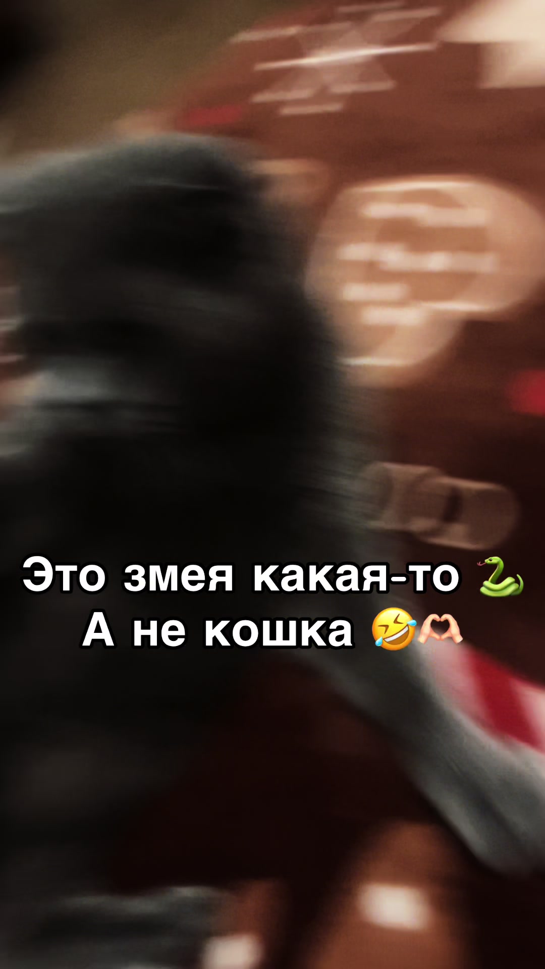 @Karinn_.a._.a._.a._🇺🇦