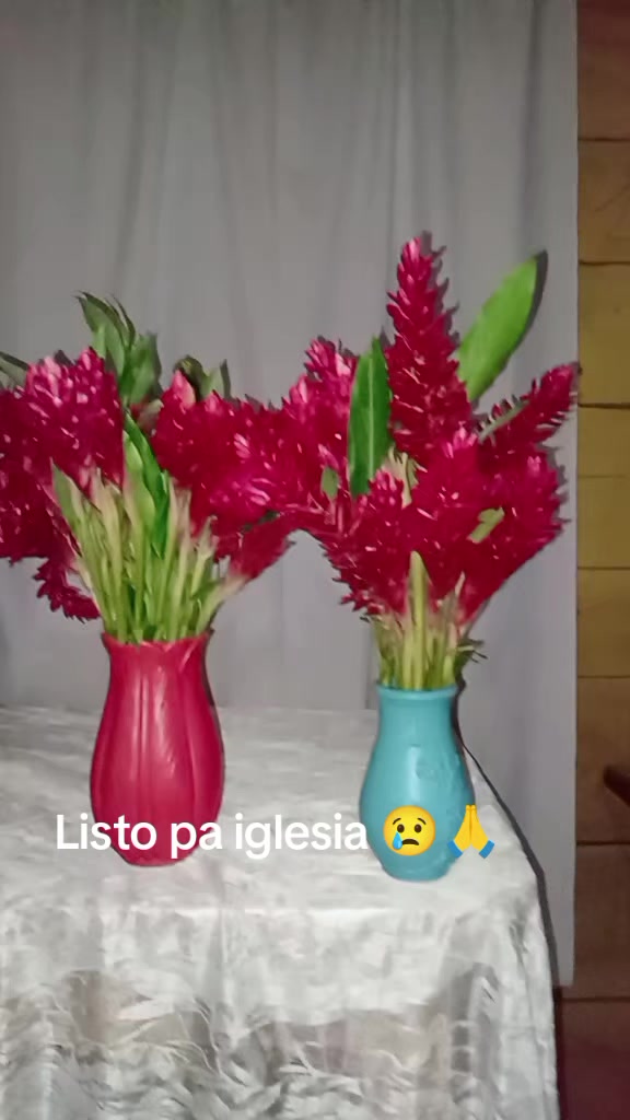 @Vilma Caz