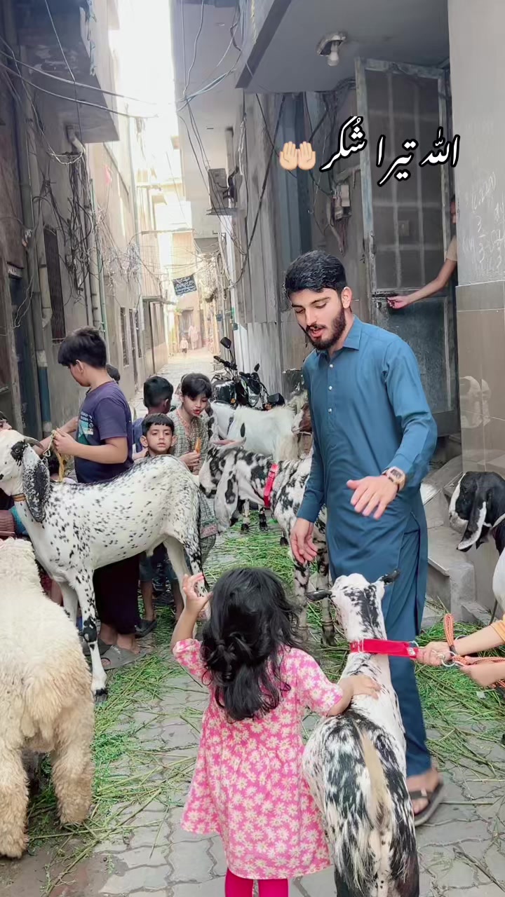 @❌zain nawaz vlog❌