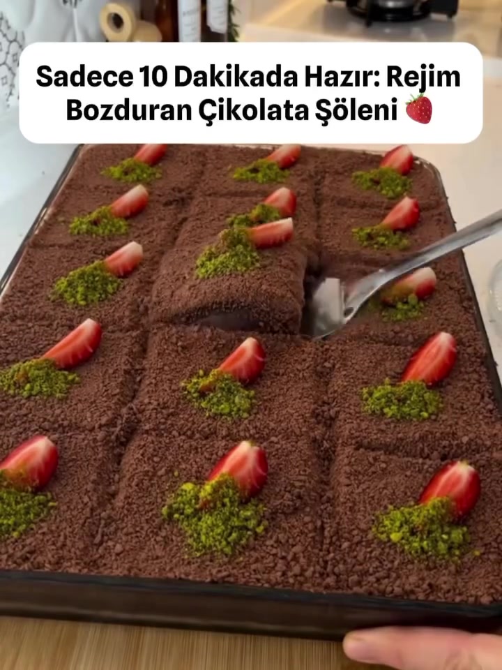 @aysece.birblogg