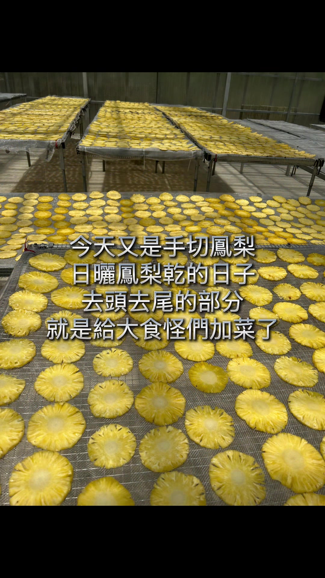 @琰 𝓛𝓸𝓷𝓰來了🐉〽️蘇卡達sulcata陸龜