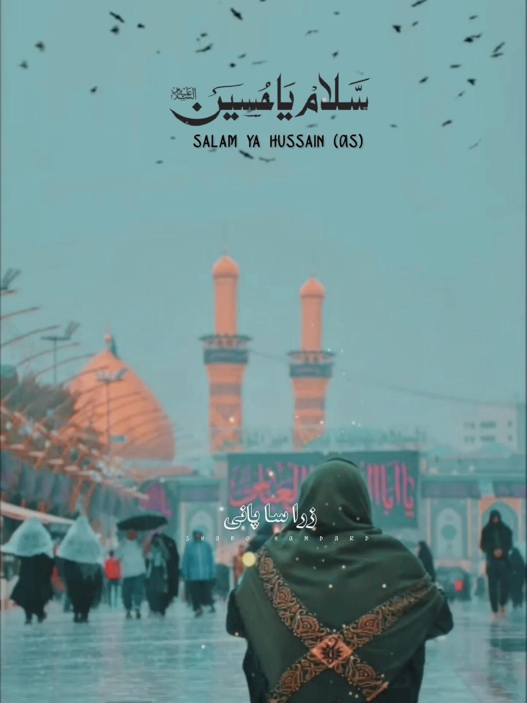 @🕊️SHaBo__HaMdarD🤍🚩