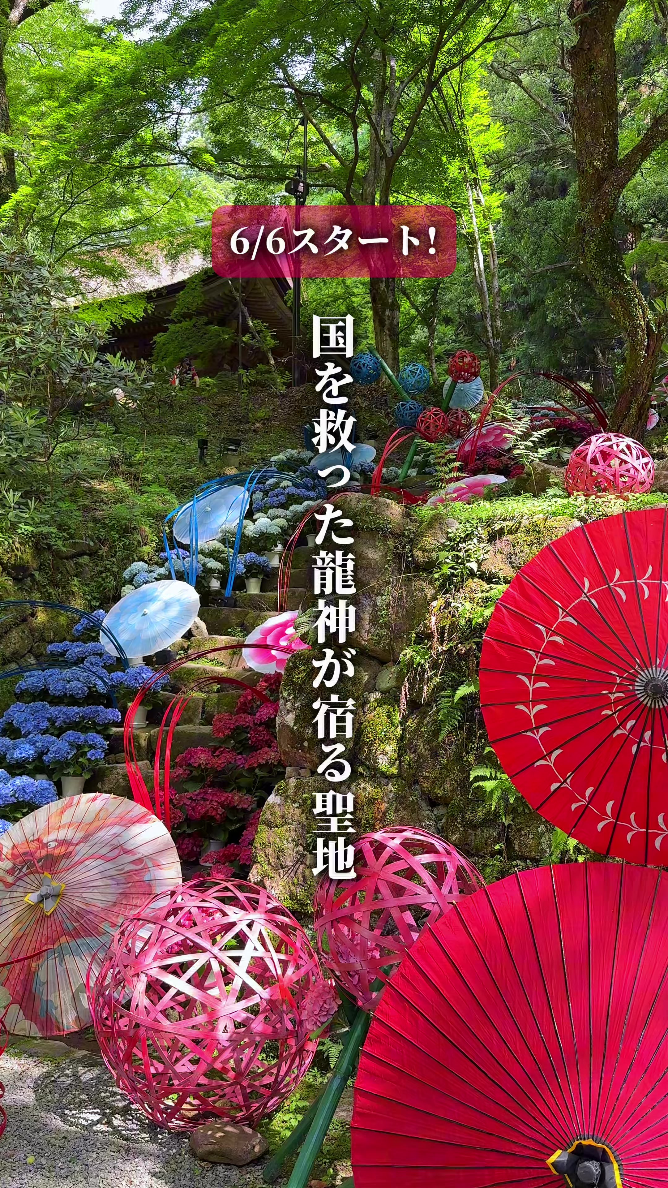 @ひろと / 大阪発！関西トレンド独占旅🔥