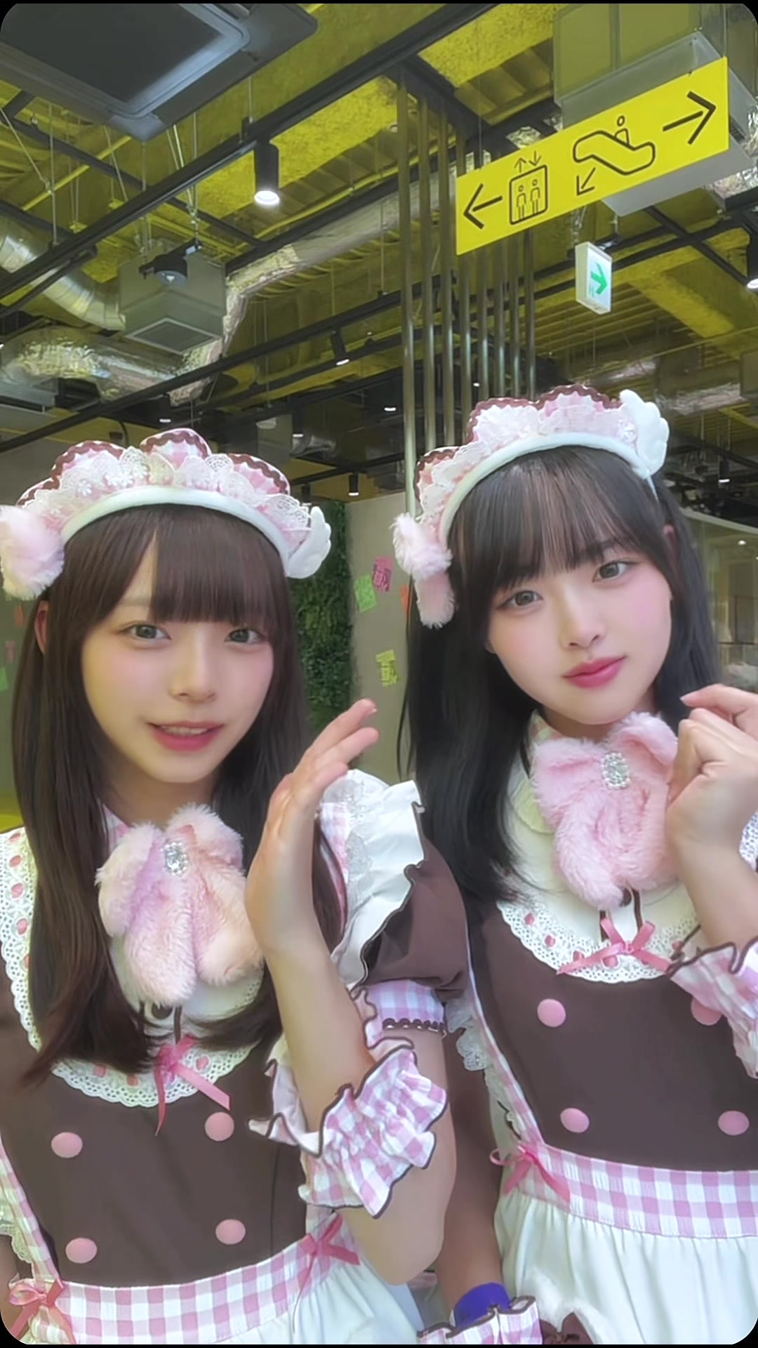 @椎名 彩晴(しいな いろは)