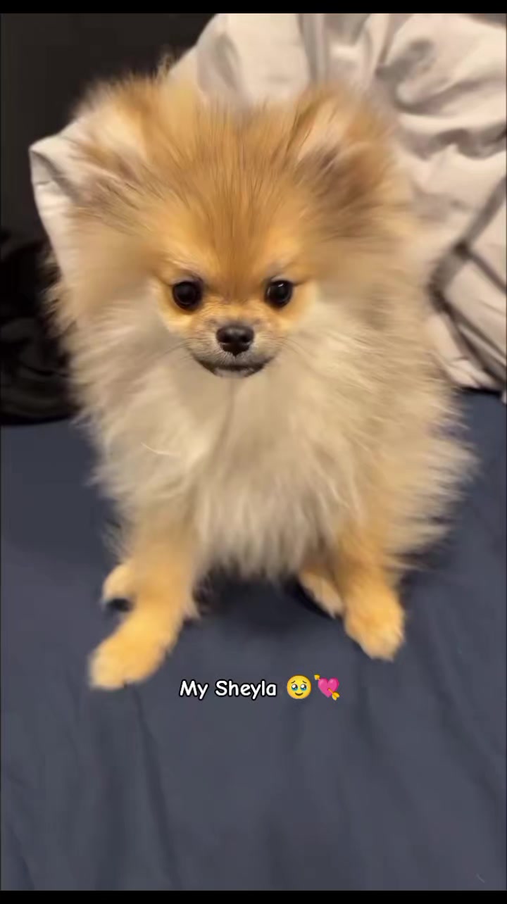 @💘🦠°Naomi.W°🦠💘