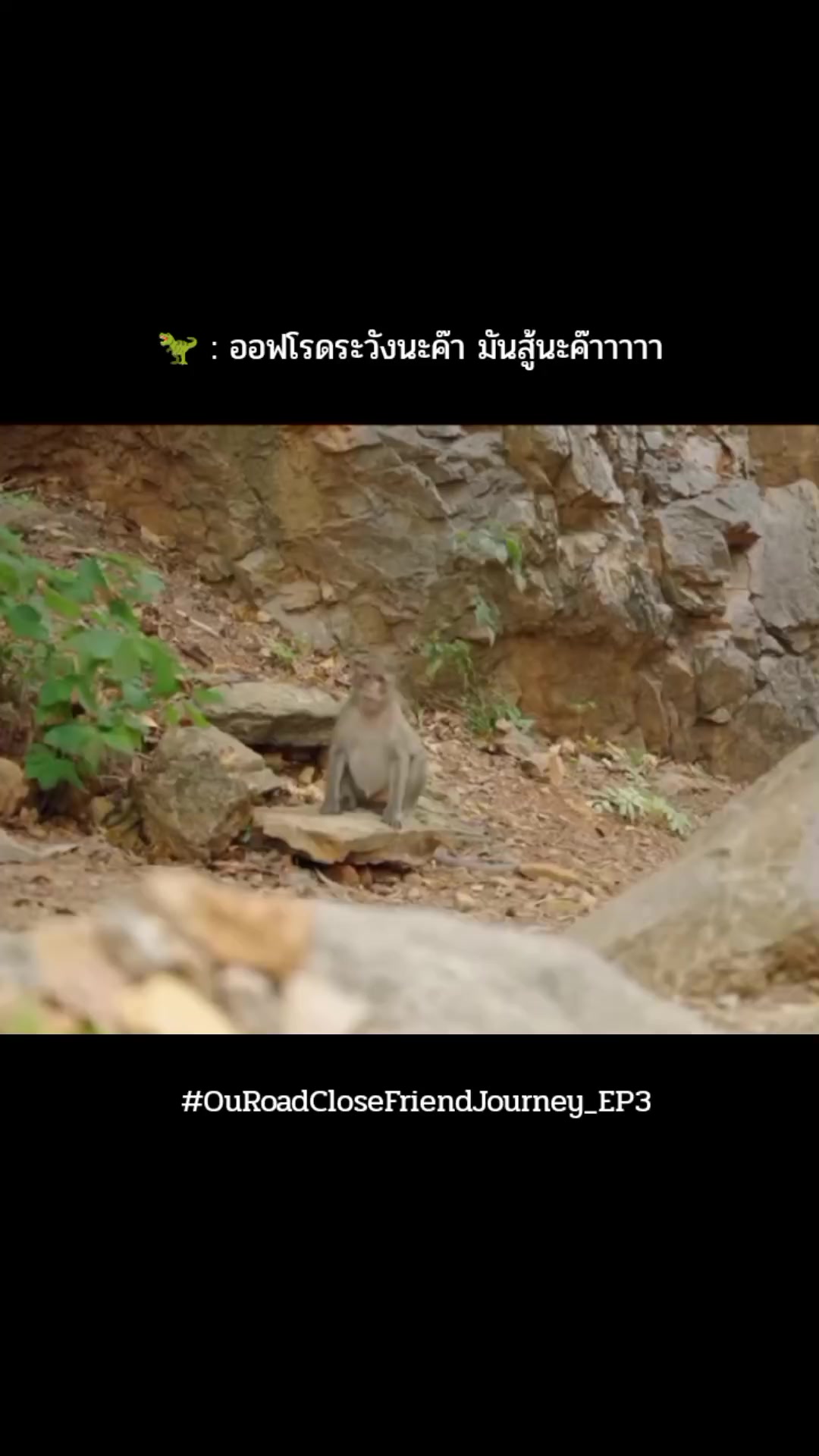 @Momay โมเมย์ค้าบ~