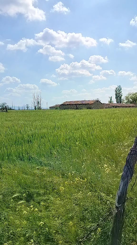 @26Kaan25