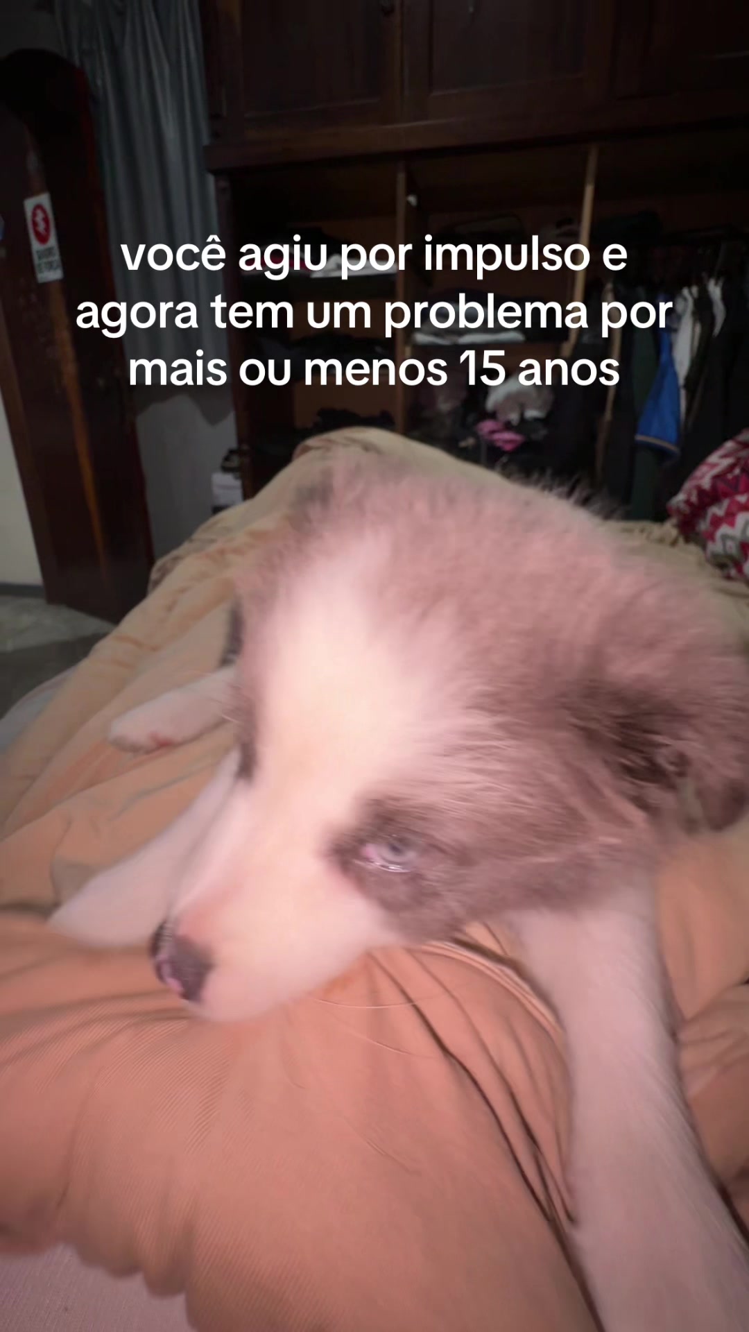 @itsfer_agn