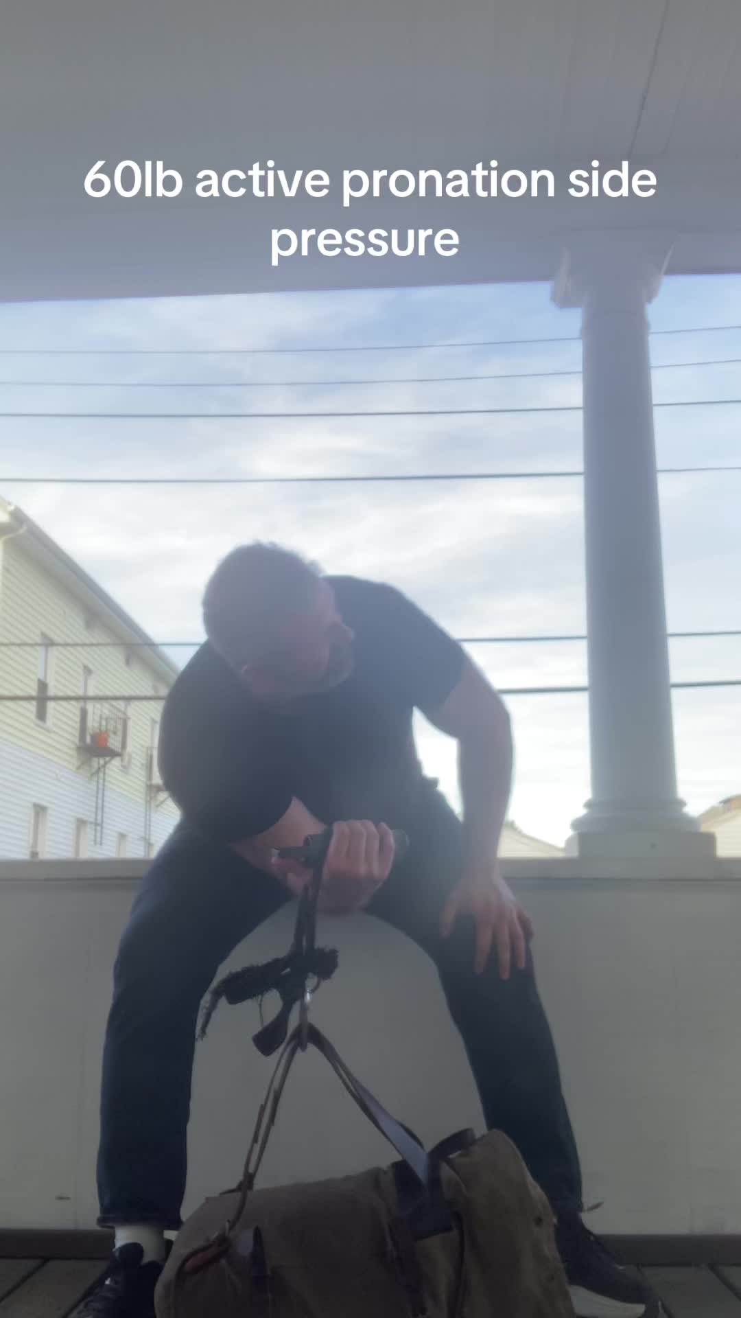 @war.dog.art_and_strength