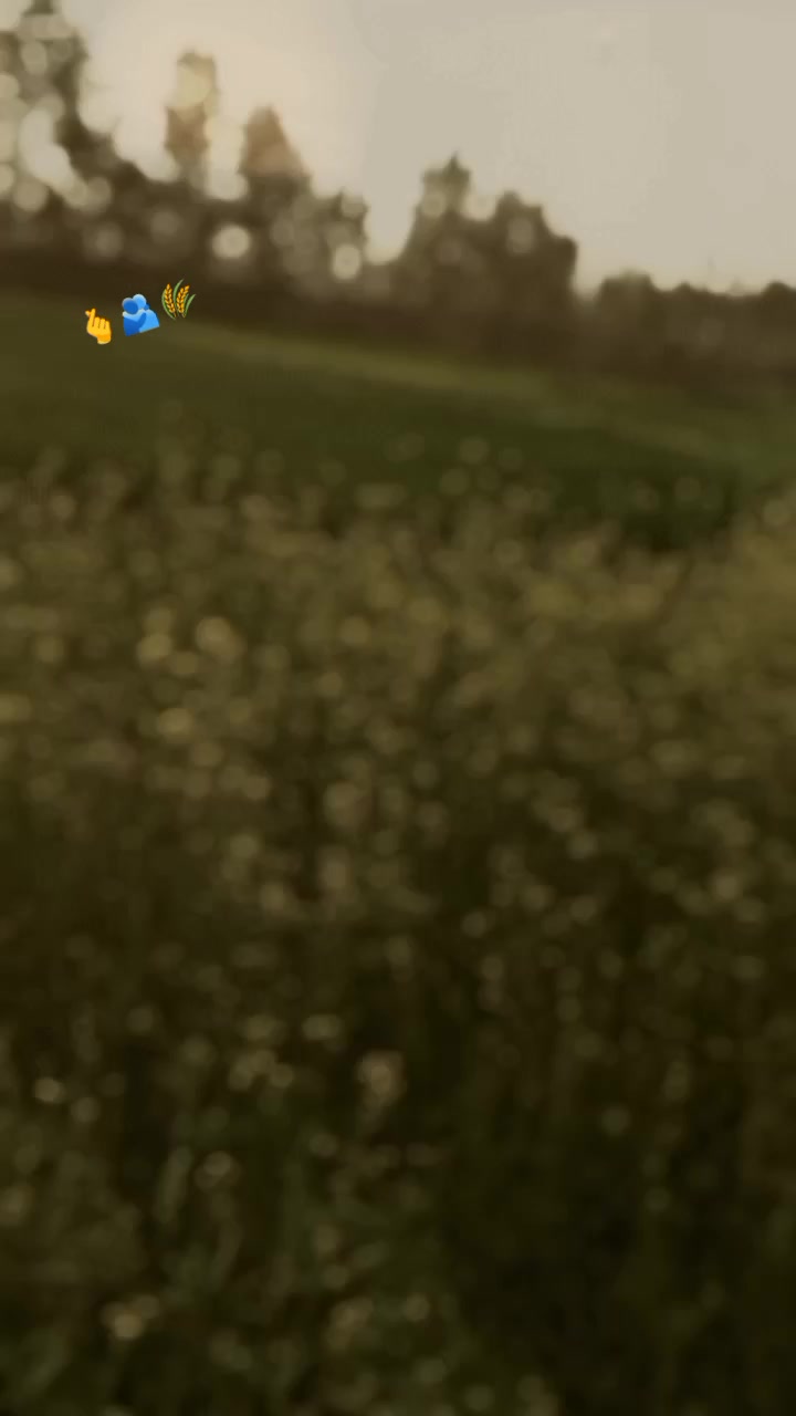 @JAY_MALIK11