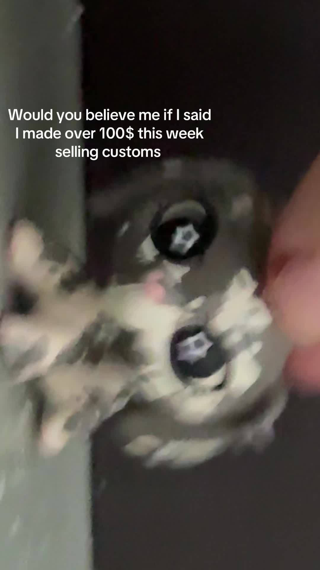 @Lpsplanet🪐