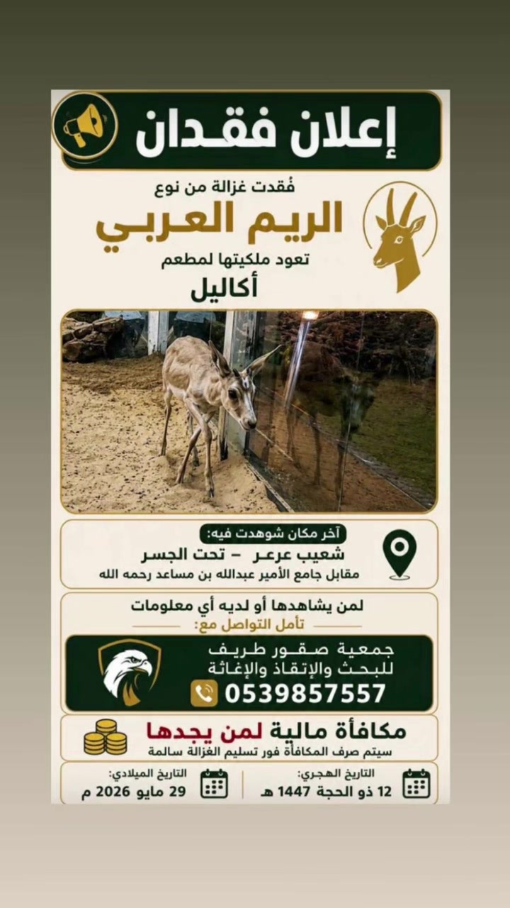 @ويـلان 📸