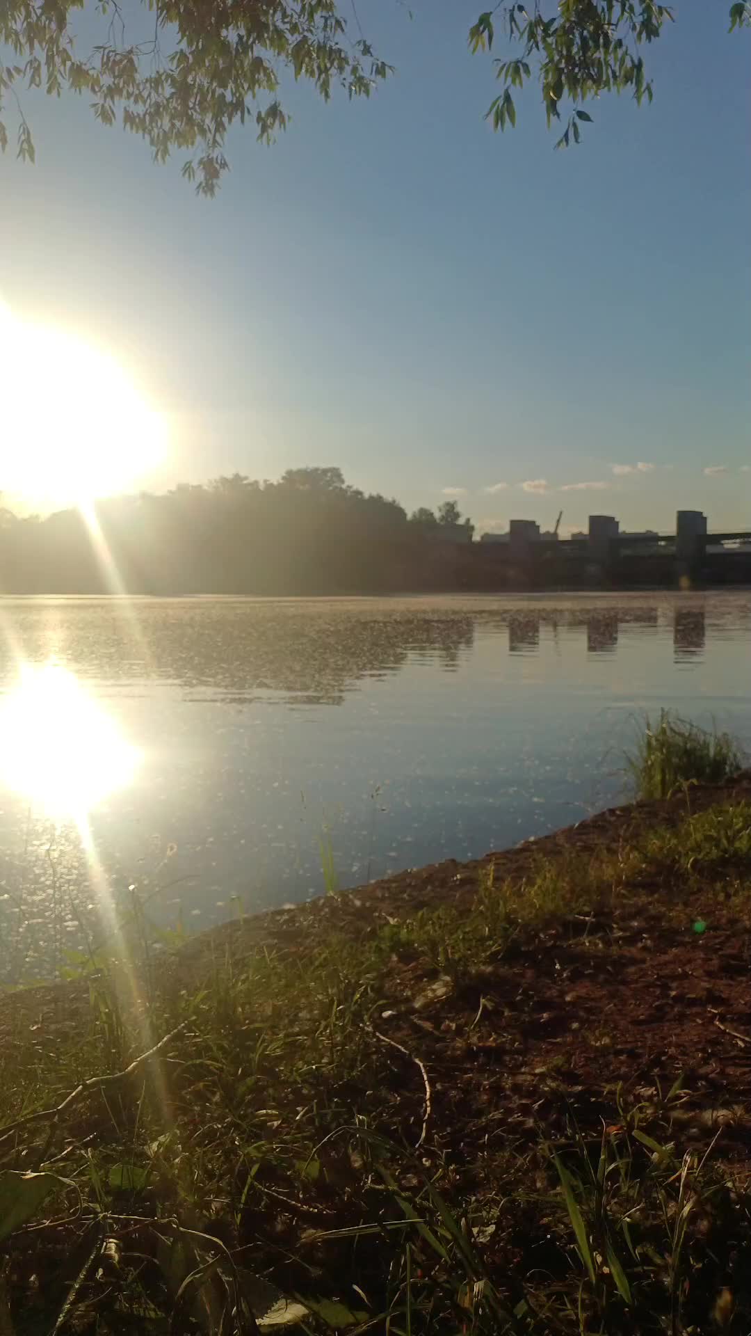 @Незабудка