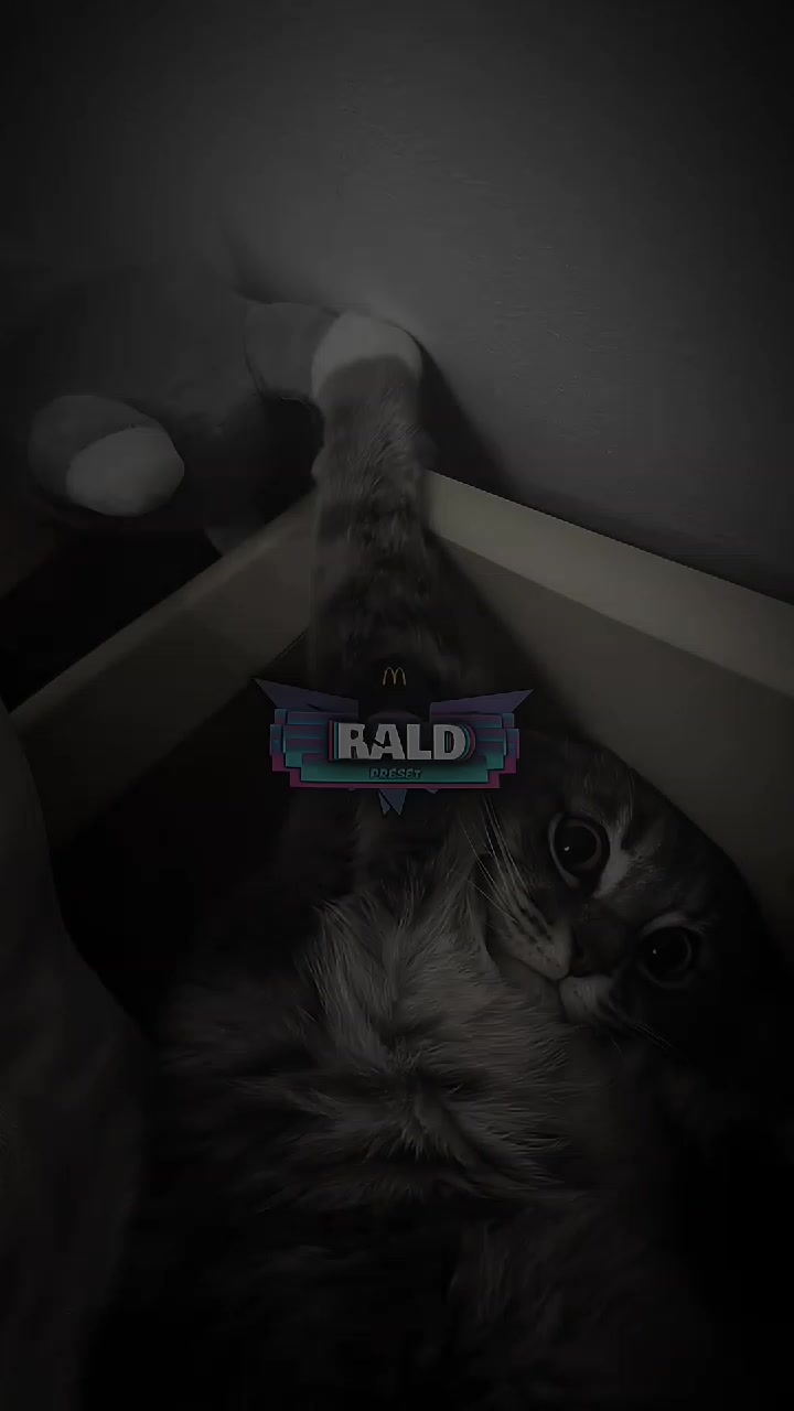@𝙍ald 𝙋rst