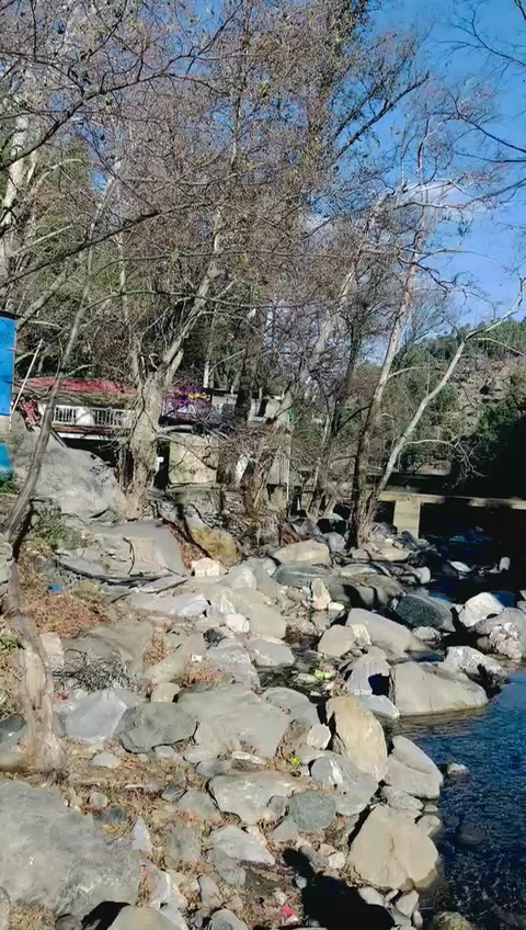@Qaisaryar