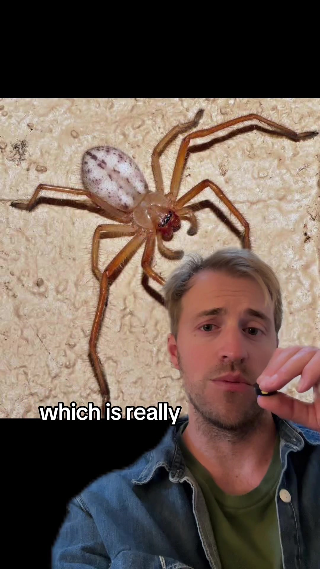 @Nature is Surreal