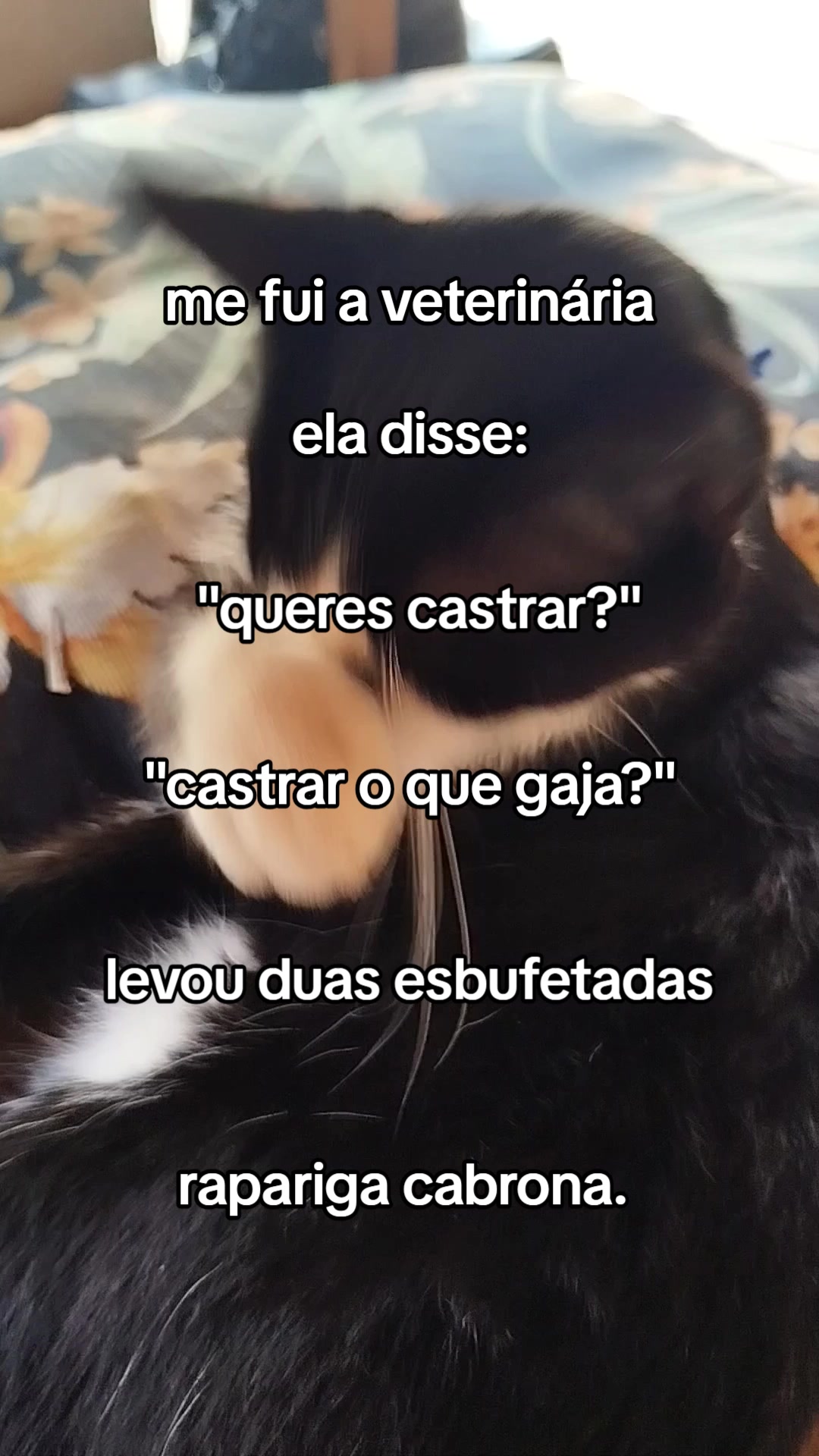 @Teteu