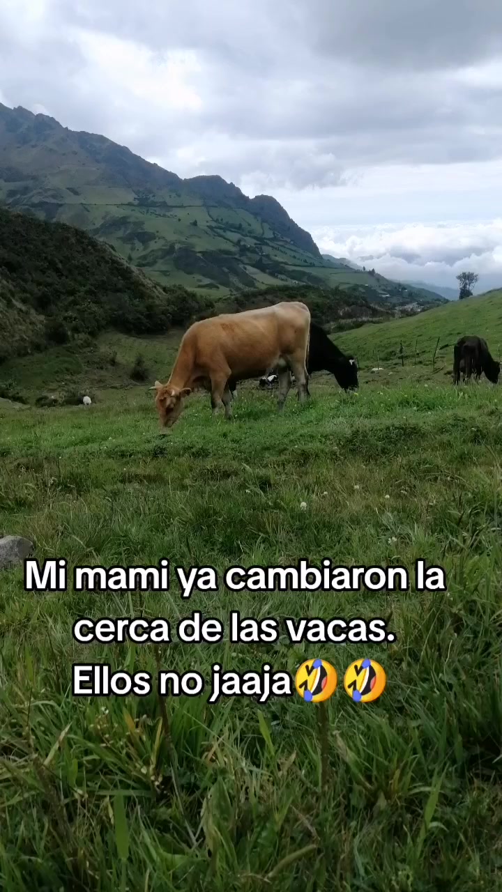 @SUKITA💝🌻🍂