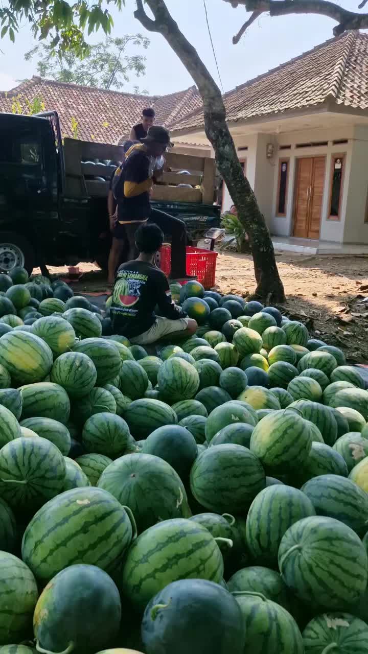 @SemangkaGrow