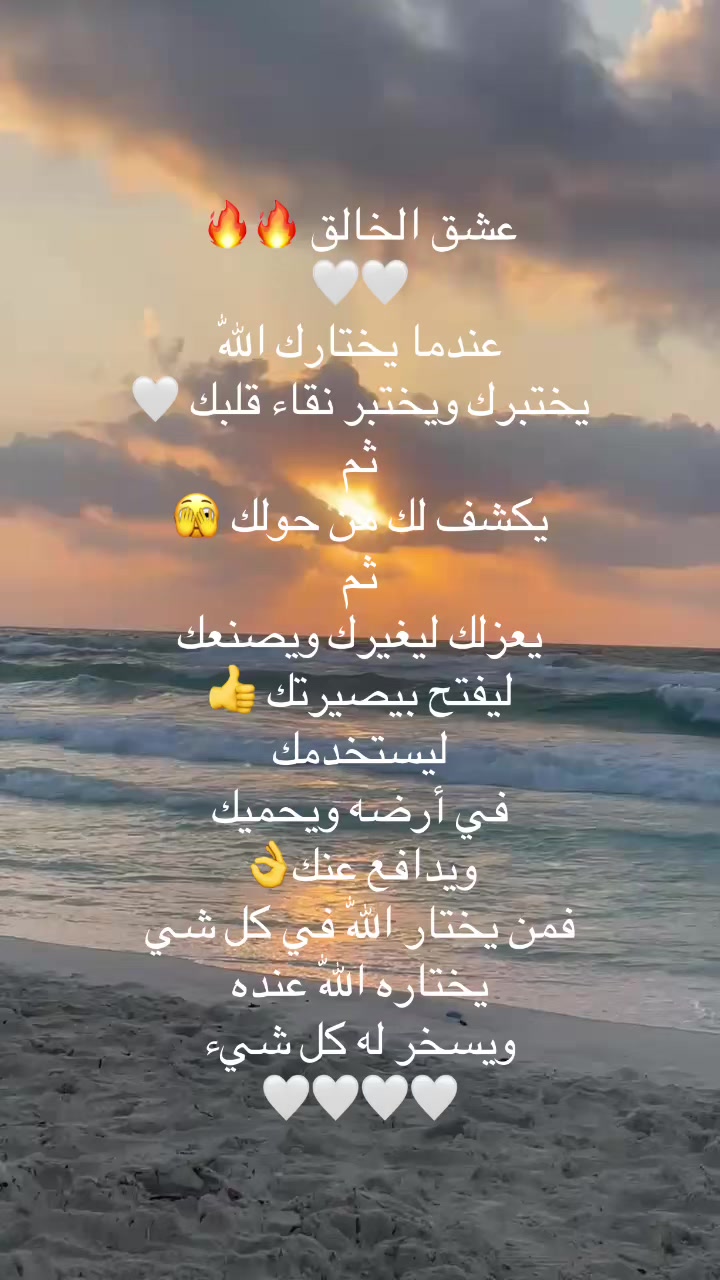@Dr Sara Hamed