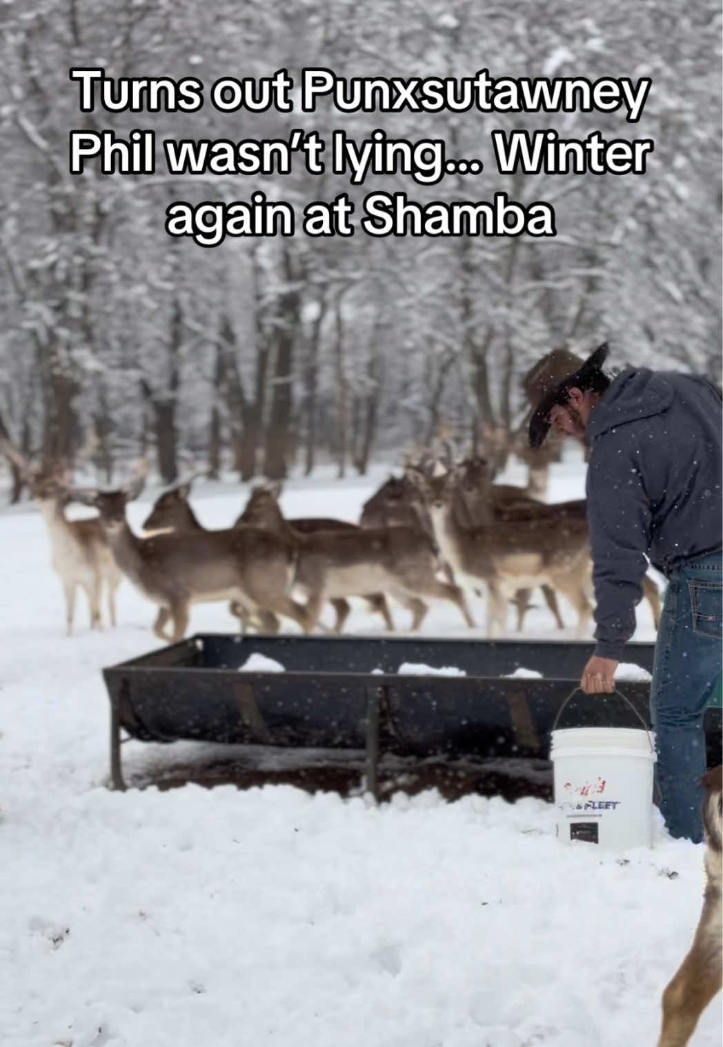 @Shamba Safari