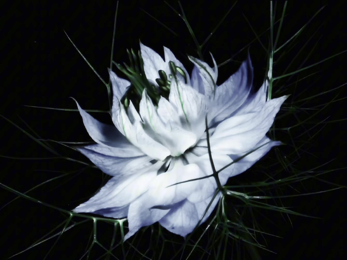 @ᶻ 𝗓 𐰁