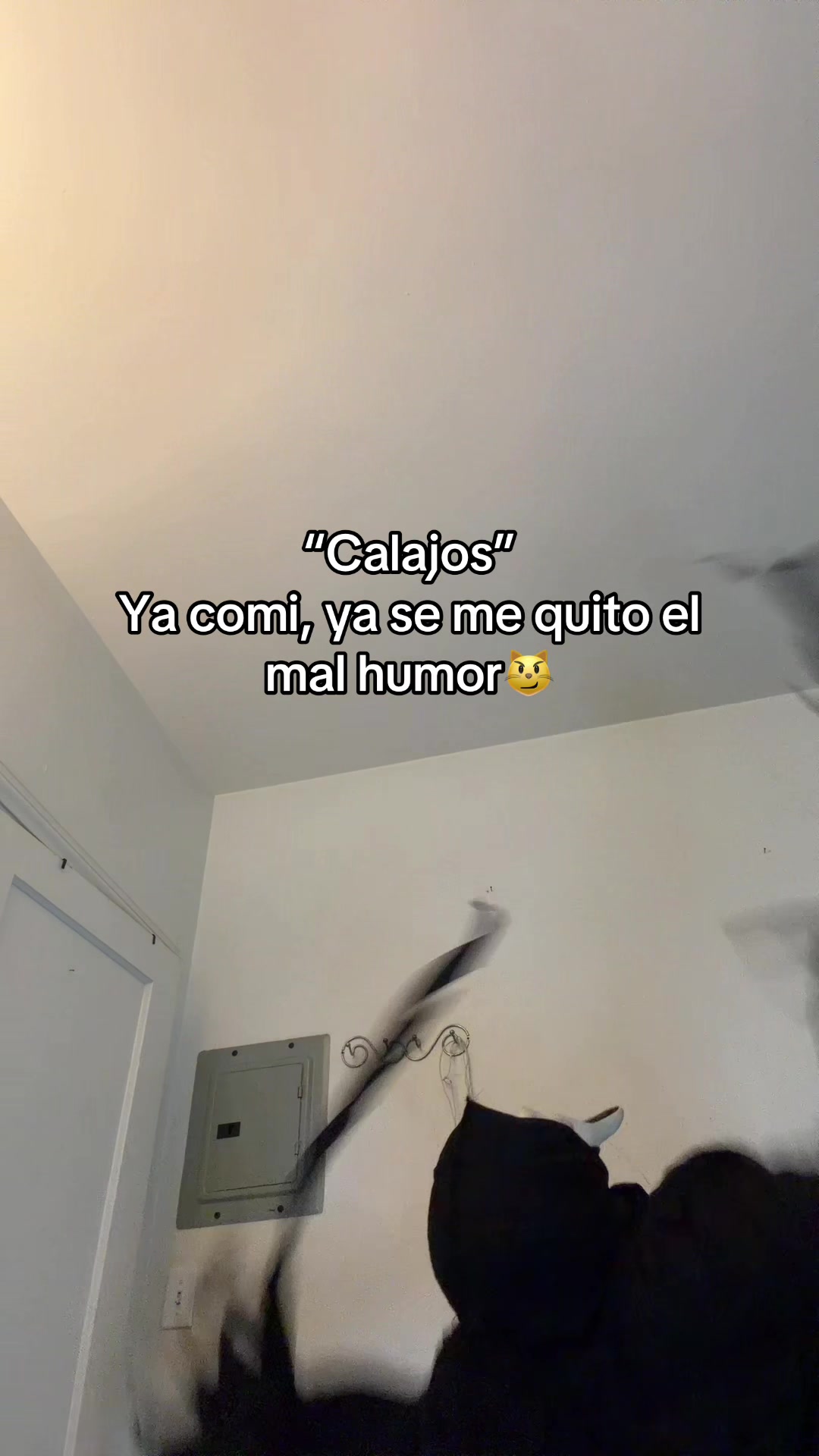 @ghostfaaa