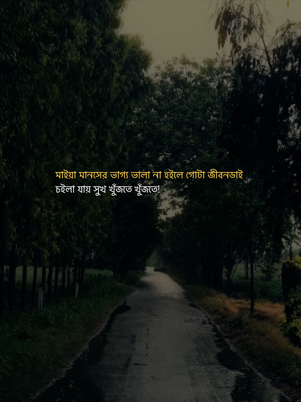 @đ¸ Tonmoy's Diary đ¸