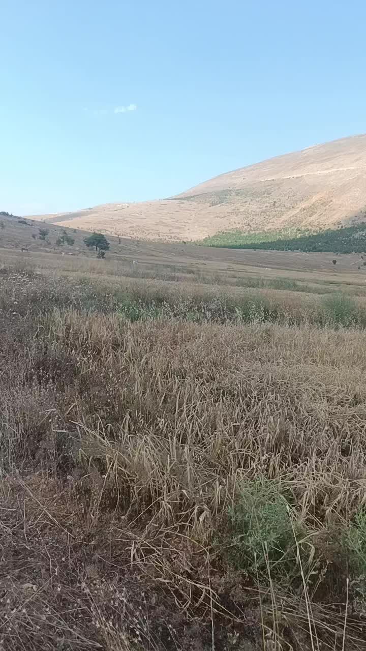 @Nazif Geriş